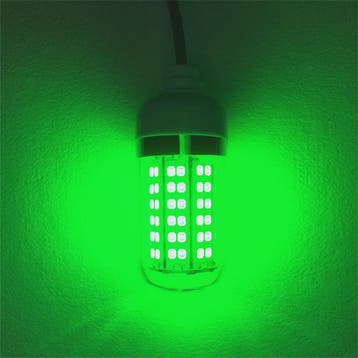 Waterdichte LED Visserslamp Onderwater - 12V AC/DC - Trekt V, Verzenden, Nieuw