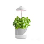 LED Kweeklamp Verdi 5W - 3200K - In hoogte verstelbaar -..., Ophalen of Verzenden, Nieuw
