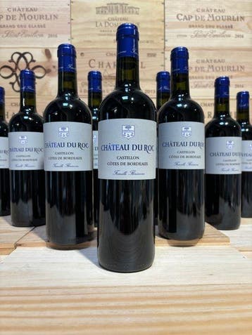 2019 Château du Roc - Castillon Côtes de Bordeaux - 12 Fles, Nieuw