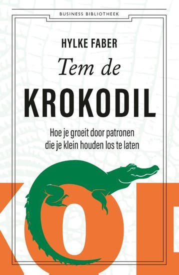 Tem de krokodil - Hylke Faber 9789047012986, Verzenden, Gelezen, Hylke Faber