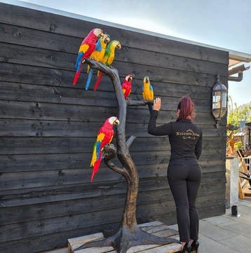 Beeld, XXL Bronze Parrot Tree - 202.5 cm - Brons - 2026