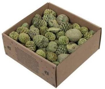 Leucodendron assortiment Green wash 640 gram, Ophalen of Verzenden, Nieuw