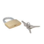 Hangslot - 50 mm - Drie sleutels, Verzenden, Nieuw