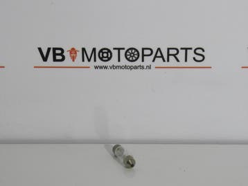 Lamp 12V 3W 8x31 SV7, Motoren, Ophalen of Verzenden, Nieuw
