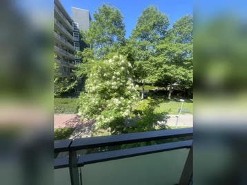Te huur: Appartement Kor Kuilerstraat in Schiedam, Huizen en Kamers, Zuid-Holland, Appartement, Schiedam
