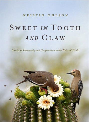 Sweet in Tooth and Claw - Kristin Ohlson 9781952338090, Verzenden, Zo goed als nieuw, Kristin Ohlson
