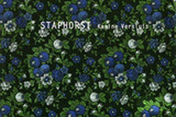 Staphorst - K.Z. Versluis 9789081187718, Verzenden, Zo goed als nieuw, K.Z. Versluis