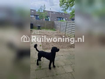 Gezellig huis in Zutphen te ruilen, Gelderland