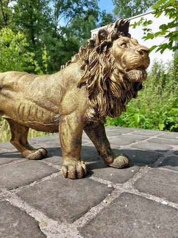 Beeld, Beeld, 60 cm long statue of golden bronze lion - 32, Antiek en Kunst