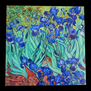 Galerie Teejo - Daprès Vincent van Gogh – Les iris –