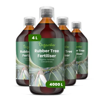 Rubberplant Vloeibare meststof - Set 4x1 liter, Verzenden, Mest