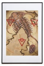 Hanna Werkowicz - Trilobitae alchemici / Trylobity
