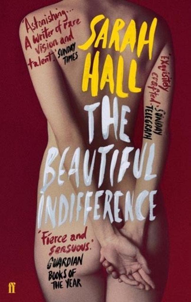 Beautiful Indifference 9780571230181 Sarah J. E. Hall, Boeken, Taal | Engels, Gelezen, Verzenden