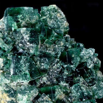 Belangrijke groene kubische fluoriet met phantom uit