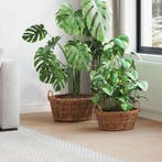 vidaXL Plantenmand met opslag 2 pcs Bruin Lacak Riet, Verzenden, Nieuw