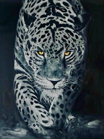 Ricart - Leopardo: Sigilo y Penumbra, Nieuw