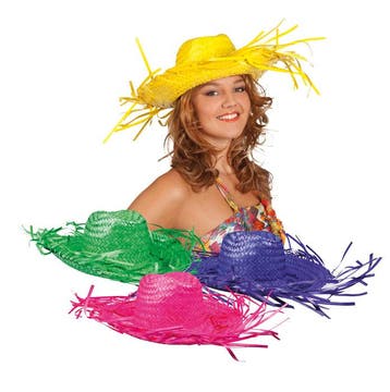 Strohoed assorti / hawaii, Kleding | Dames, Carnavalskleding en Feestkleding, Verzenden, Nieuw