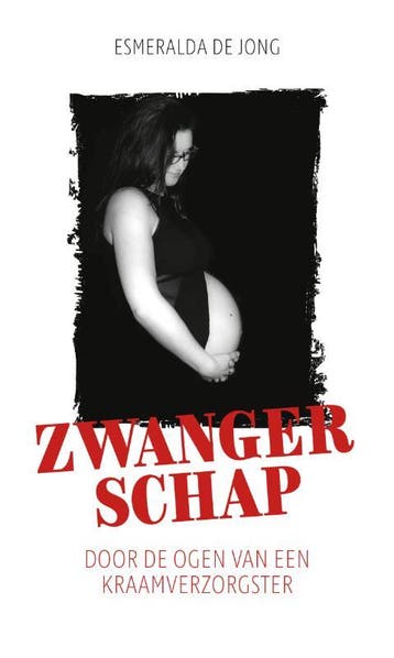Zwangerschap 9789082989120 Esmeralda De Jong, Boeken, Verzenden, Gelezen, Esmeralda De Jong