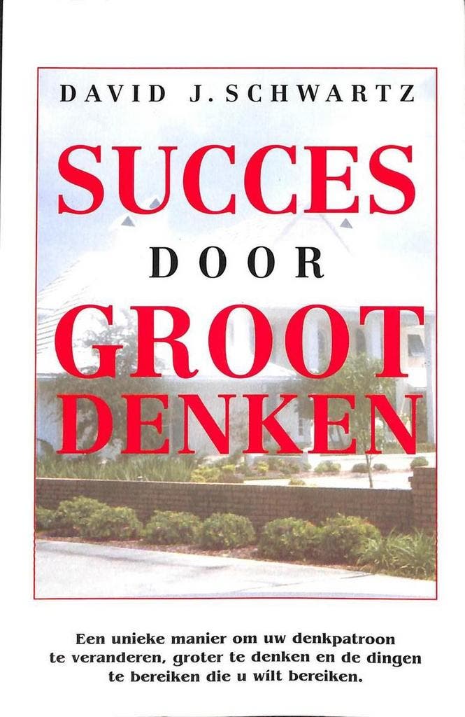Succes door groot denken 9789075507119 David J. Schwartz, Boeken, Psychologie, Zo goed als nieuw, Verzenden