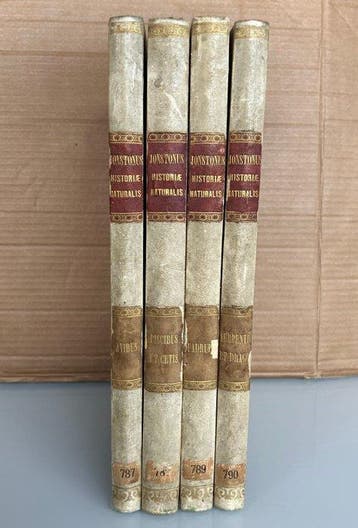 Johnstonus; Merian - Historiae Naturalis - 1657, Antiek en Kunst