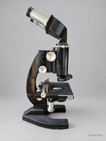 Binocular microscope - 99100 - 1930-1940, 1940-1950 -
