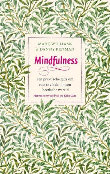 9789057123412 Mindfulness | Tweedehands, Boeken, Verzenden, Zo goed als nieuw, Mark Williams