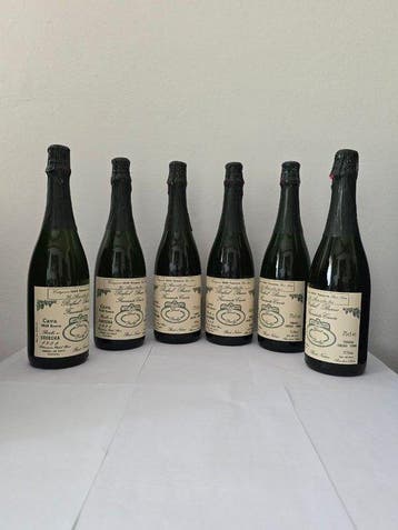 1988 Rafael Bravo, Favourite Cuvée - Catal, Cava Brut, Verzamelen, Nieuw