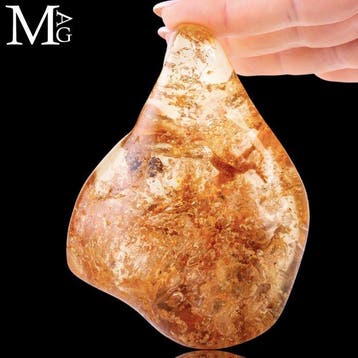 Specimen van kopaal - Natuurlijk - Jong amber - Madagaskar