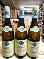 2022 Emidio Pepe, Trebbiano d’Abruzzo - Abruzzo - 3 Flessen, Nieuw