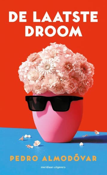 De laatste droom - Pedro Almodóvar 9789493305144, Verzenden, Zo goed als nieuw, Pedro Almodóvar