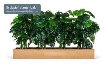Kunstplantenpakket Amsterdam, voor plantenbak 160 cm, Ophalen of Verzenden, Overige soorten, 150 tot 200 cm