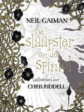 Boek De slaapster en de spintol 9789463490108, Verzenden, Nieuw