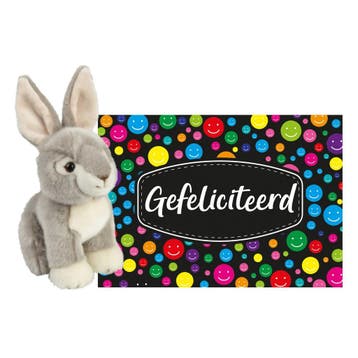 Konijn knuffel cadeau - pluche - 18 cm - met kaart, Verzenden, Nieuw