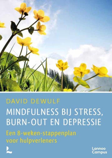 9789020915297 Mindfulness bij stress, burn-out en depressie, Boeken, Verzenden, Zo goed als nieuw, David Dewulf