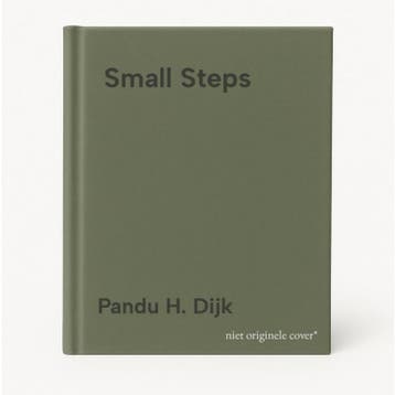 Small Steps - Pandu H. Dijk 9781783064342, Verzenden, Zo goed als nieuw, Pandu H. Dijk