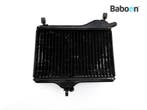 Radiateur Yamaha RD 350 LC 1980 (4L0), Motoren, Verzenden, Gebruikt