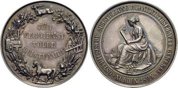 Medaille 1894 Ostfriesland-norden, Stadt, Verzenden