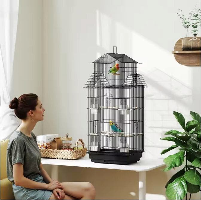 Metalen Vogelkooi met Zitstokken en Voerbakken, Dieren en Toebehoren, Vogels | Hokken en Kooien, Nieuw, Verzenden