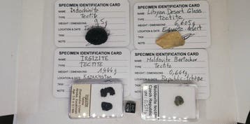 Set van 4 Célèbre-types van Tectite Zonder reserveprijs, Verzamelen, Mineralen en Fossielen