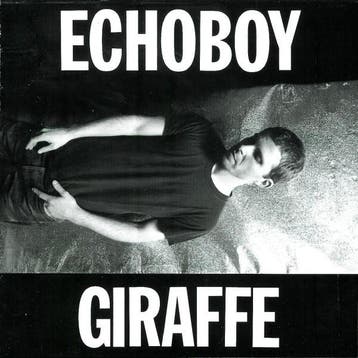 cd - Echoboy - Giraffe, Verzenden, Zo goed als nieuw