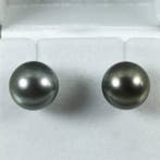 Oorbellen Zilver Parel - Tah RD Ø10,5×11 mm Peacock, Nieuw