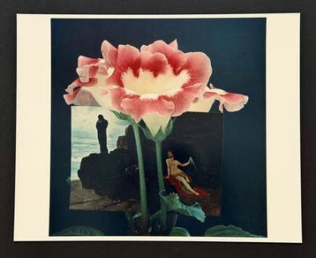 HORST P HORST - Gloxina in Böcklin Paintin NY, 1959