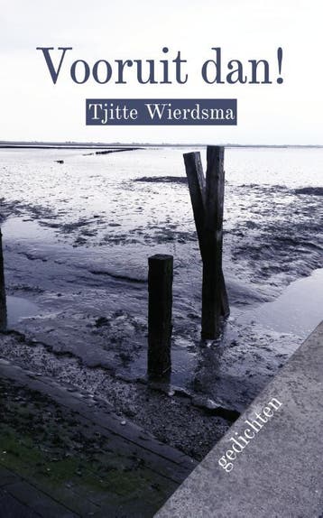 Vooruit Dan | Tjitte Wierdsma | Nieuw, Boeken, Ophalen of Verzenden, Nieuw, Tjitte Wierdsma