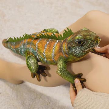 Zachte Baardagaam Pluche Speelgoed - 50cm Realistisch Reptie, Dieren en Toebehoren, Verzenden, Nieuw