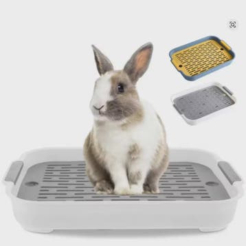 Knaagdier Toiletbak - Hoektoilet voor Konijn, Hamster, Cavia, Dieren en Toebehoren, Verzenden, Nieuw