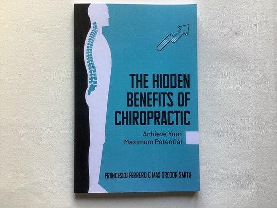 The Hidden Benefits of Chiropractic 9789083325712, Boeken, Taal | Engels, Zo goed als nieuw, Verzenden