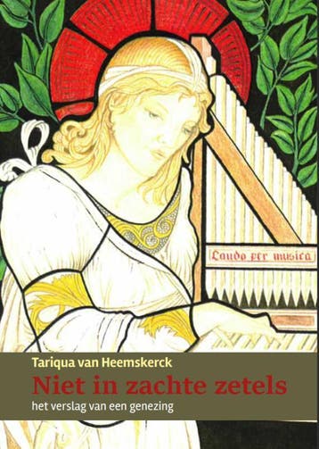 Niet In Zachte Zetels | Tariqua Heemskerck | Nieuw, Ophalen of Verzenden, Nieuw, Tariqua Heemskerck