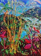 Baptiste Laurent - Fitzcarraldo river