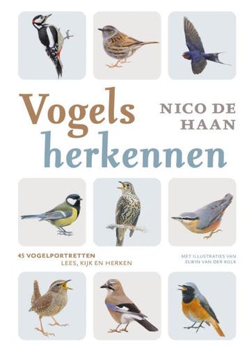 Vogels Herkennen | Nico Haan | Nieuw, Ophalen of Verzenden, Nieuw, Nico Haan