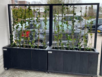 Douglas Bloembak met klimrek, Tuin en Terras, Nieuw, Hout, Balkon